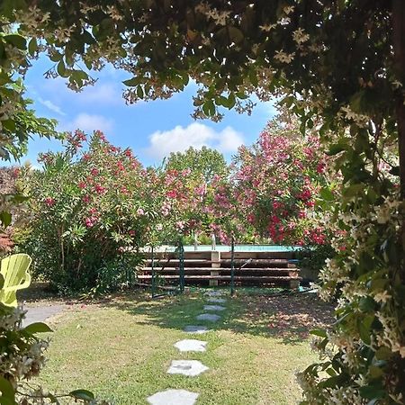 Cosy En Provence Villa Maillane Екстериор снимка